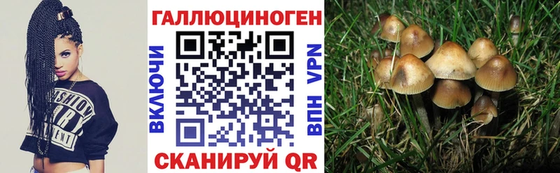 дарнет шоп  OMG tor  Псилоцибиновые грибы прущие грибы  Вилючинск 